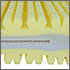 puralux detail 2 puralux detail 2